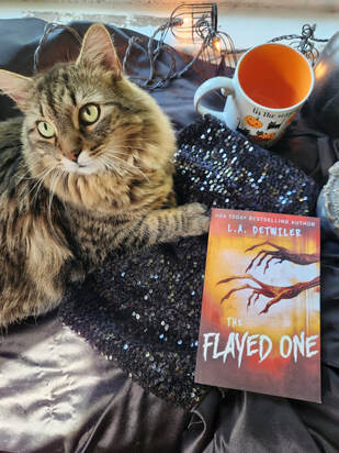 Cat with the book The Flayed One